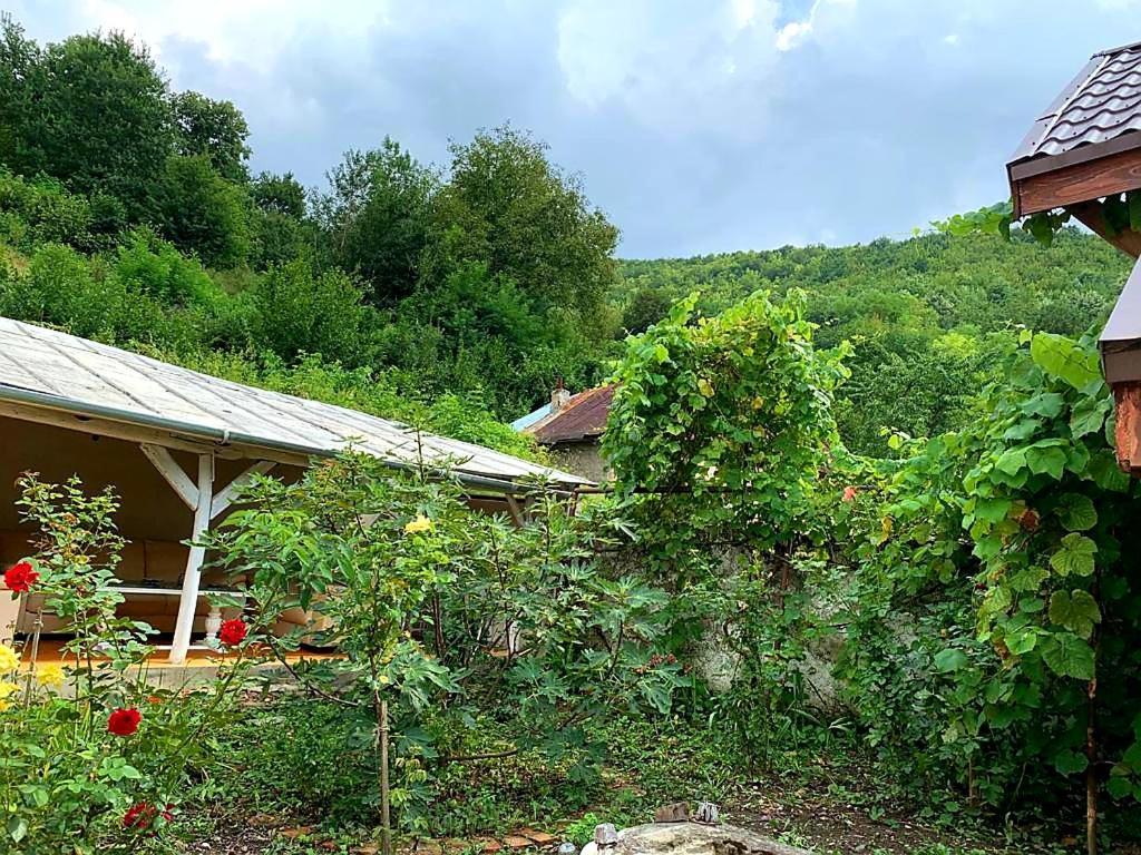 Casa Luna Betiluna Villa Oravicabánya Kültér fotó