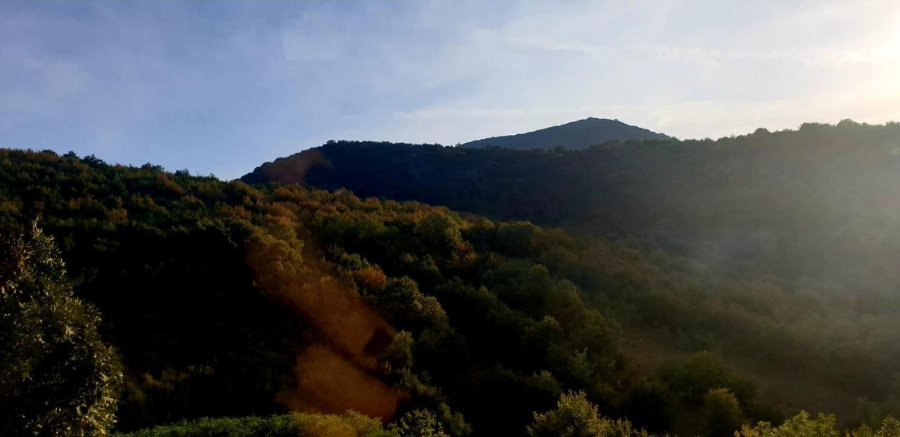 Casa Luna Betiluna Villa Oravicabánya Kültér fotó