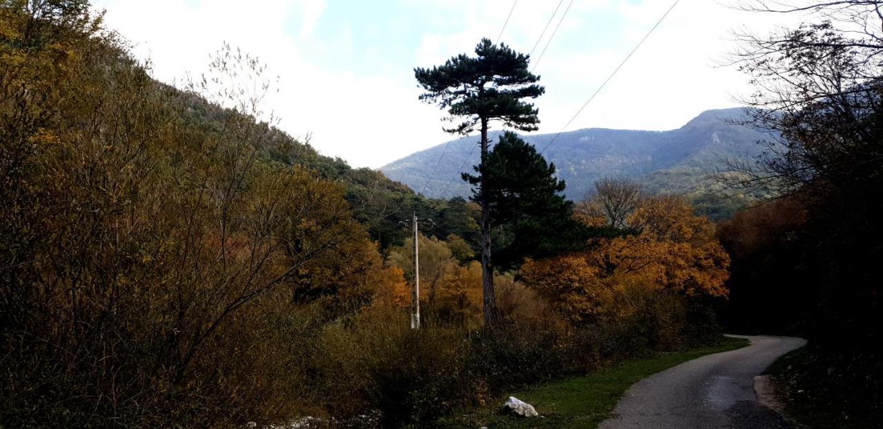 Casa Luna Betiluna Villa Oravicabánya Kültér fotó
