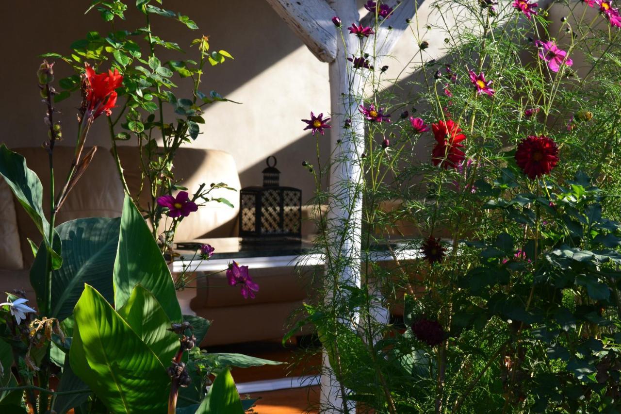 Casa Luna Betiluna Villa Oravicabánya Kültér fotó
