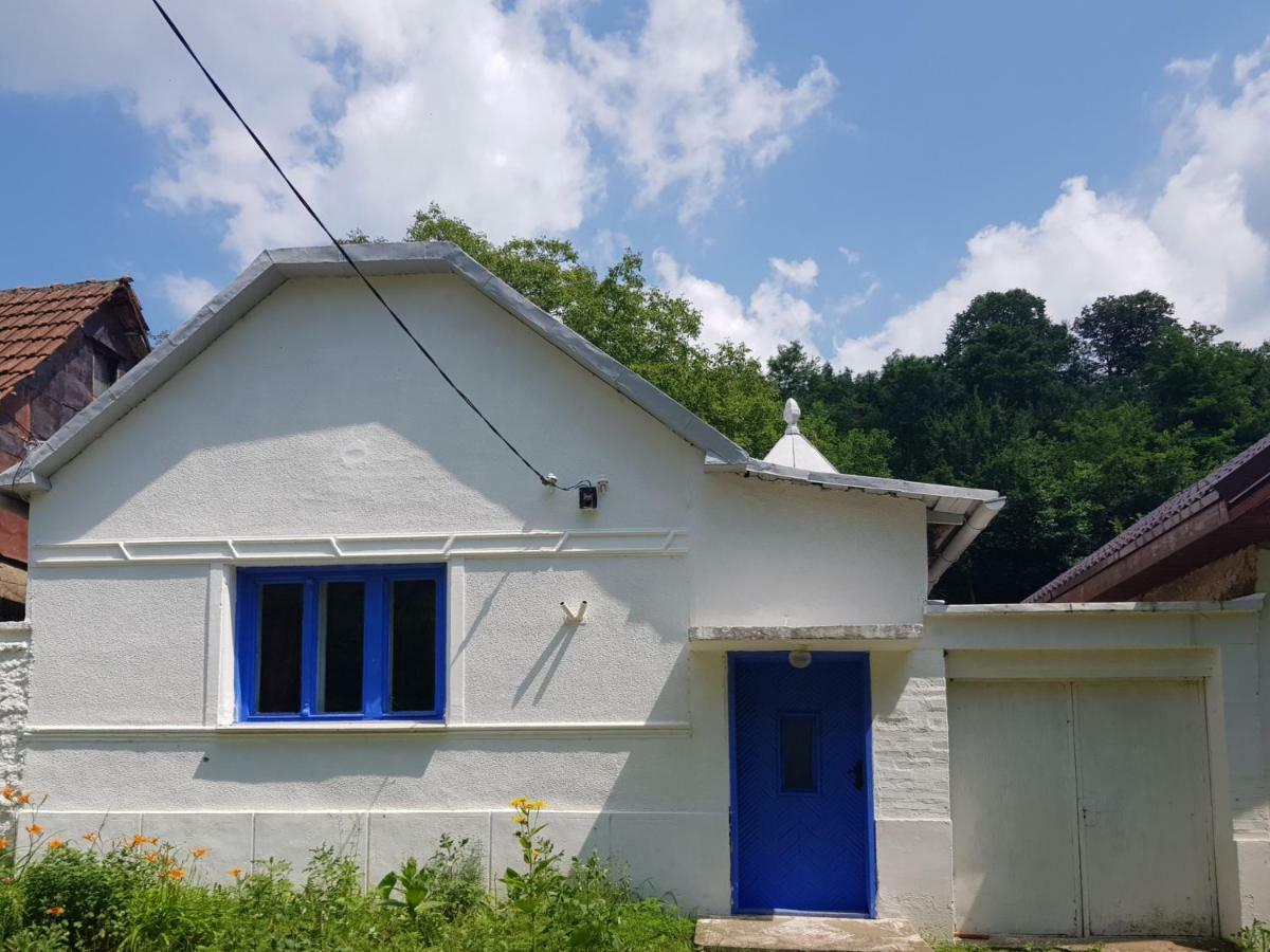 Casa Luna Betiluna Villa Oravicabánya Kültér fotó